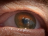 BMW Film - Eye reflection