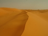 SAR Shoot Photo - Beautiful dunes